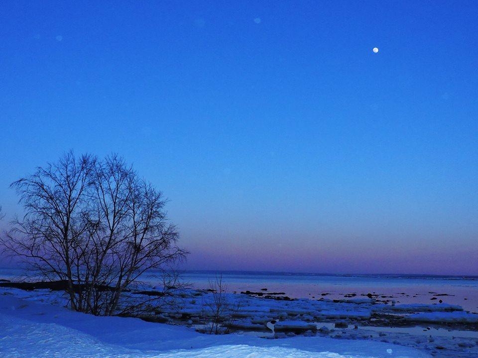 Motel De La Pointe Aux Bouleaux 베이셍트캐서린 외부 사진